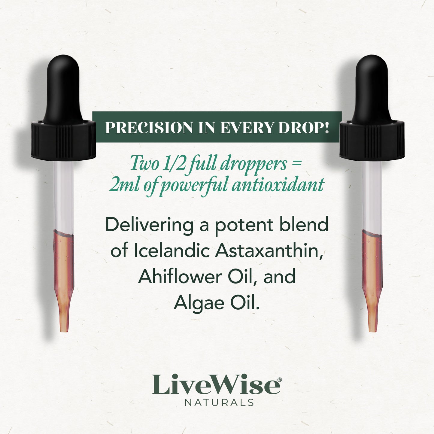 Omega Complex 3-Pack – Plant-Based DHA & EPA for Brain, Heart & Eye Health