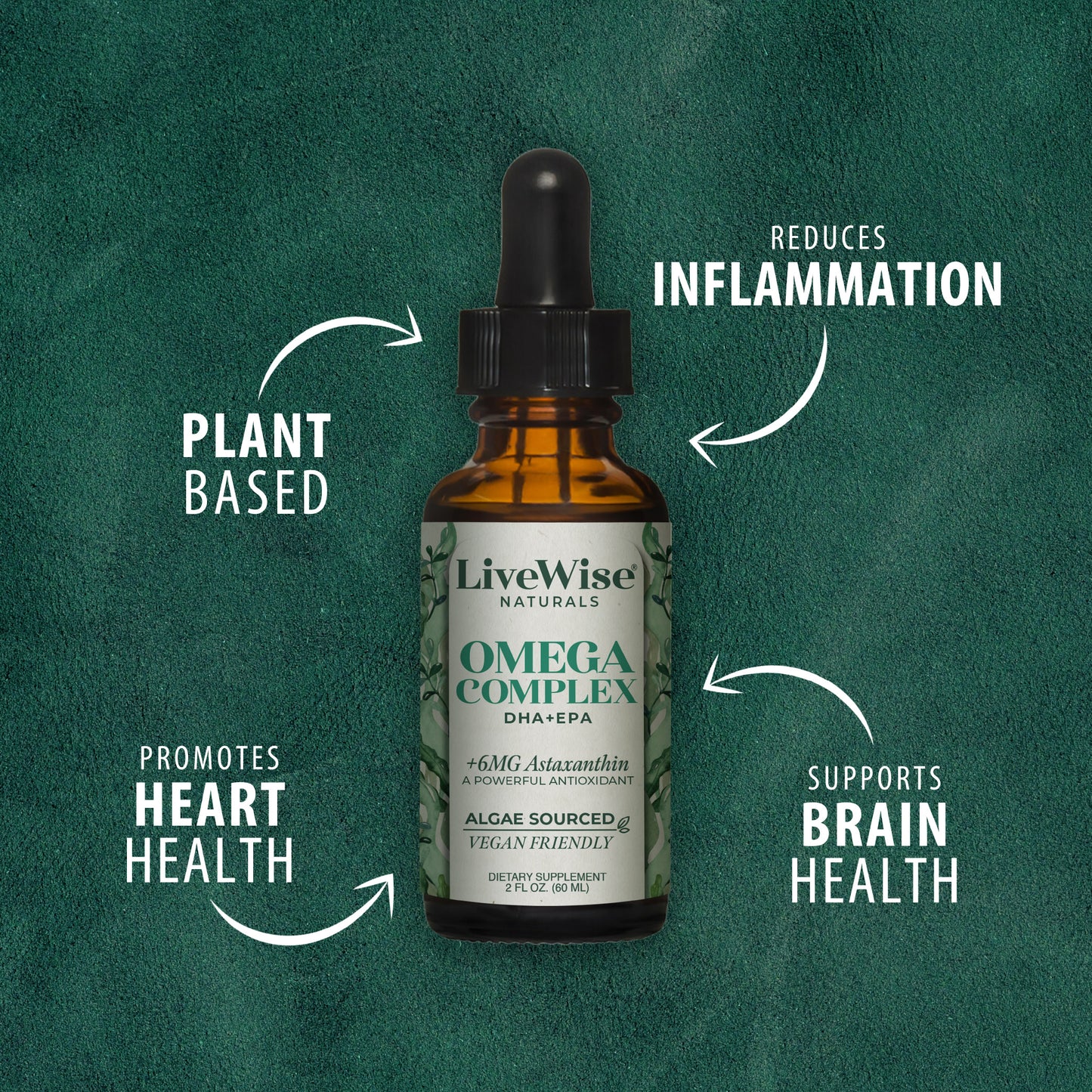 Omega Complex 3-Pack – Plant-Based DHA & EPA for Brain, Heart & Eye Health
