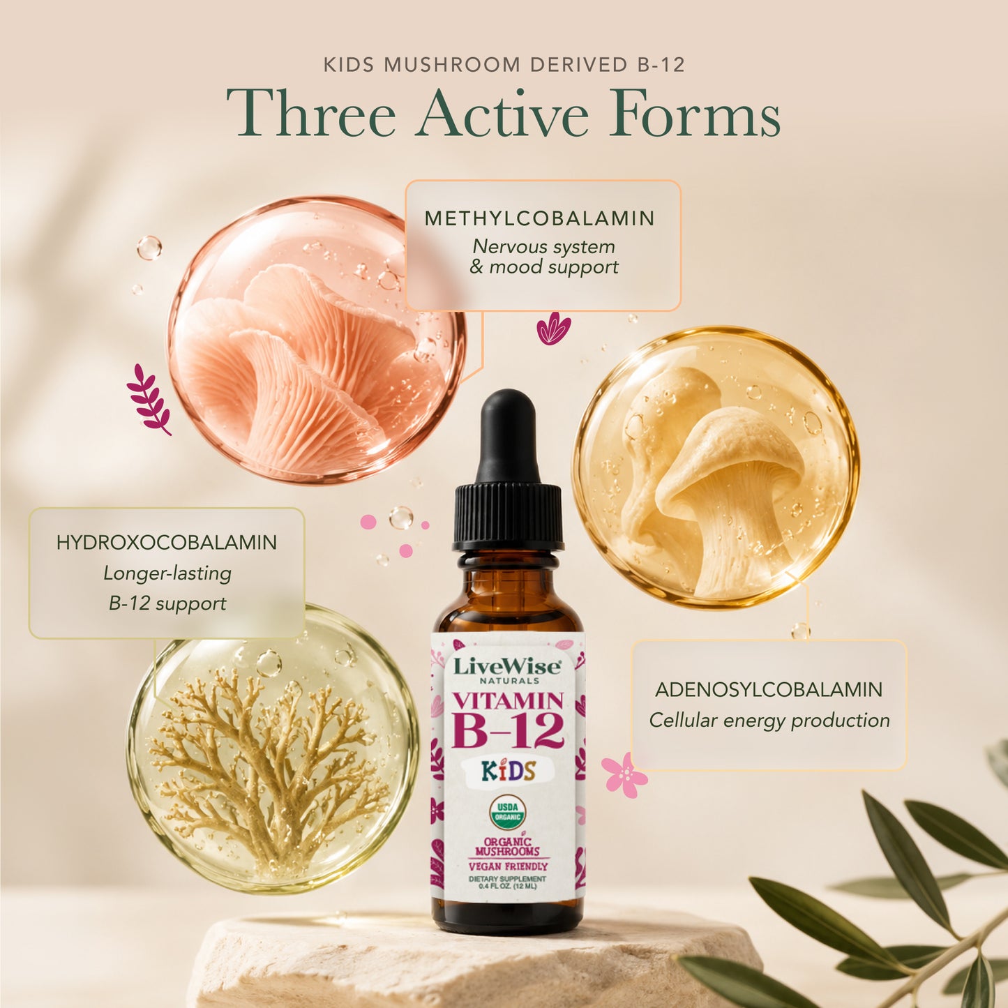 Vitamin B12 Drops for Toddlers & Kids – Energy & Nervous System Support (0.4oz)