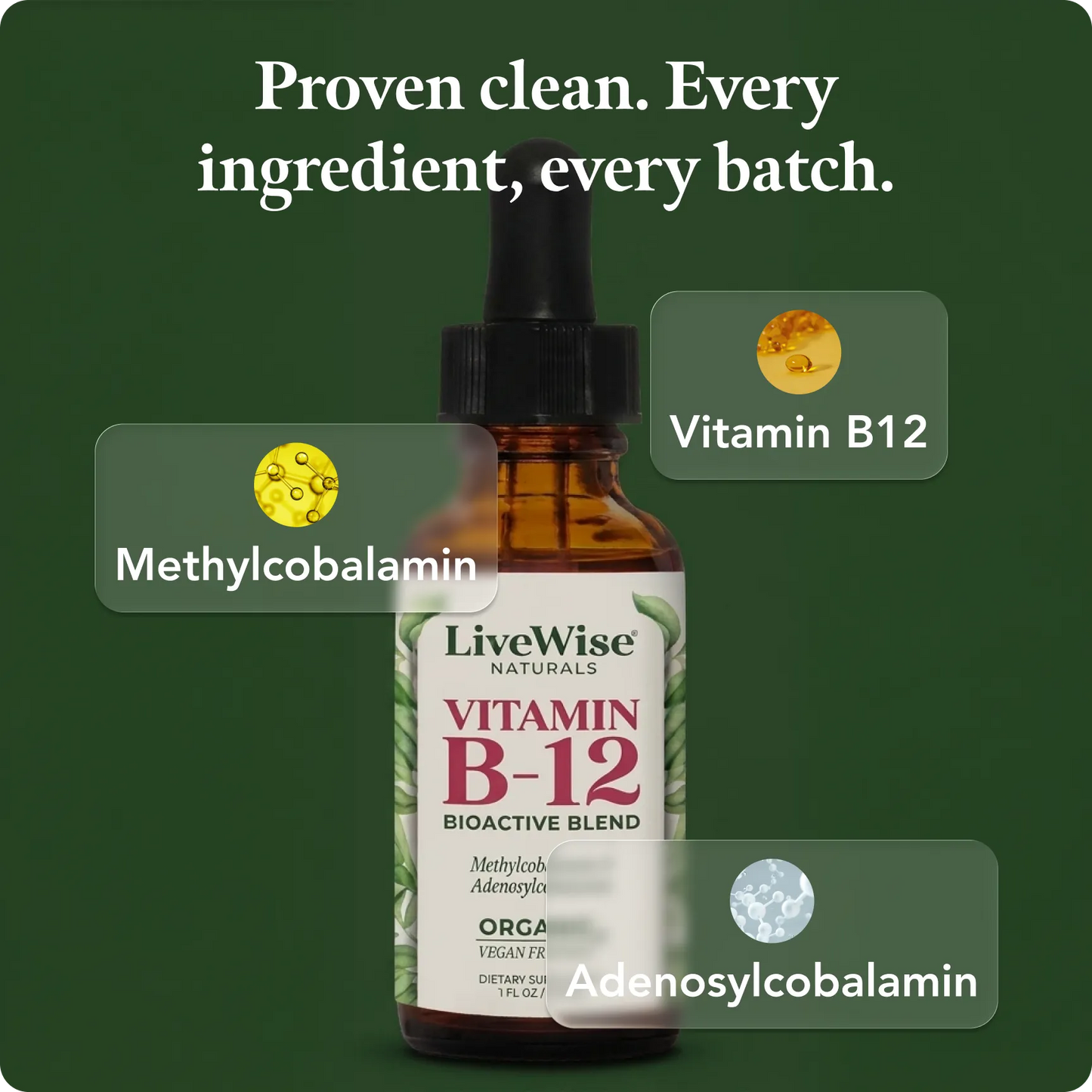 Vitamin B12 Bio Active Blend – Methylcobalamin & Adenosylcobalamin for Energy & Cognitive Support (1oz or 2oz)