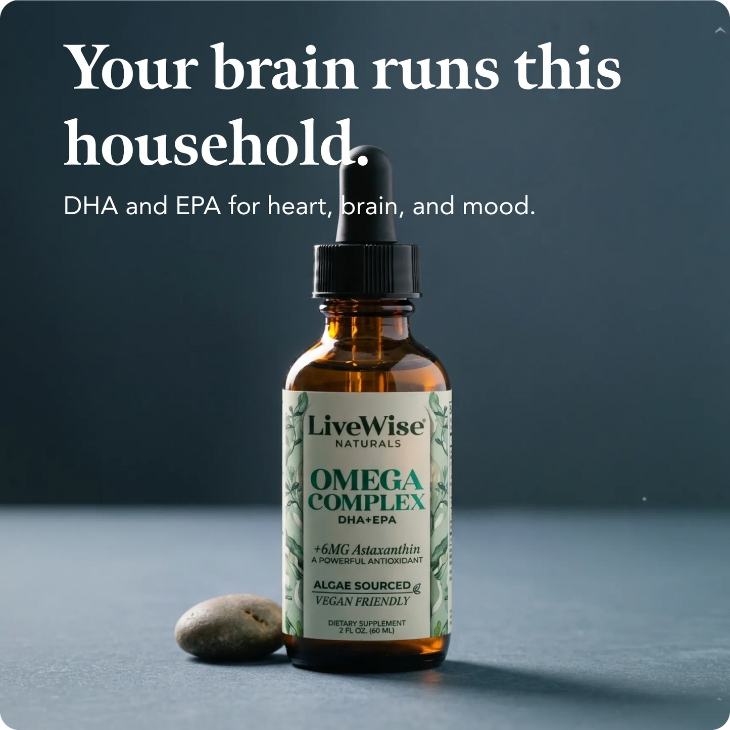 Omega Complex Liquid Drops – Plant-Based DHA & EPA for Brain, Heart & Eye Health (2oz)