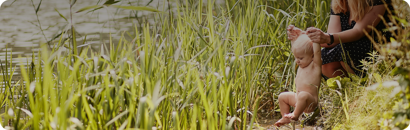 <p>Why Parents<strong> Love Live Wise Kids</strong></p>