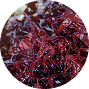 <span class="metafield-single_line_text_field">Astaxanthin</span>