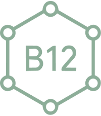 Naturally Contains Multiple Forms of B-12