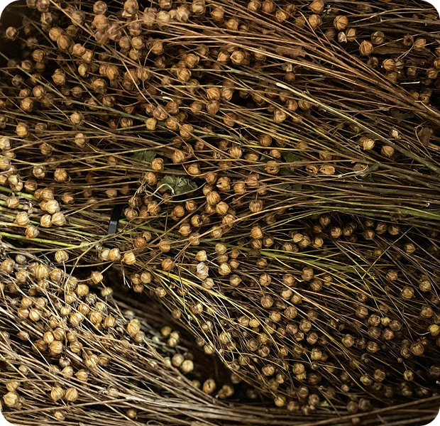 Organic Flax Glycerin (USDA Certified Organic)