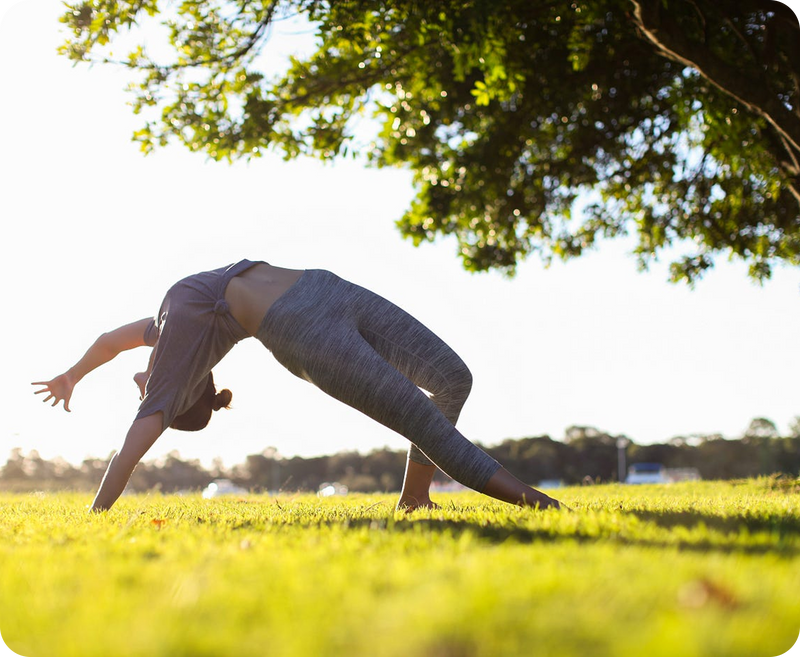 Whole-Body Wellness