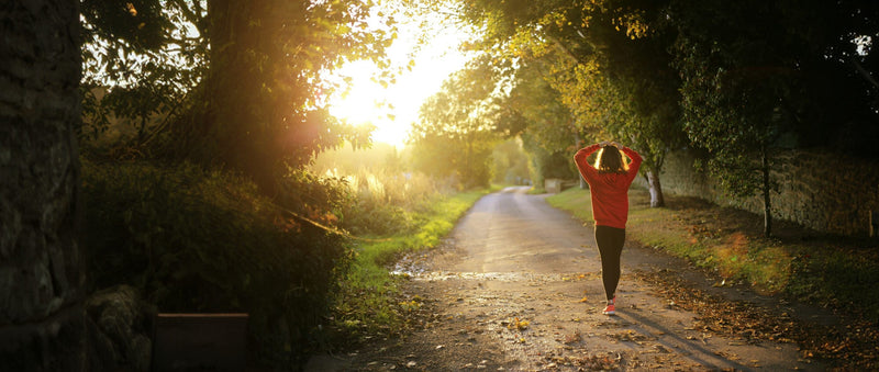 Woman walking on a sunlit autumn path