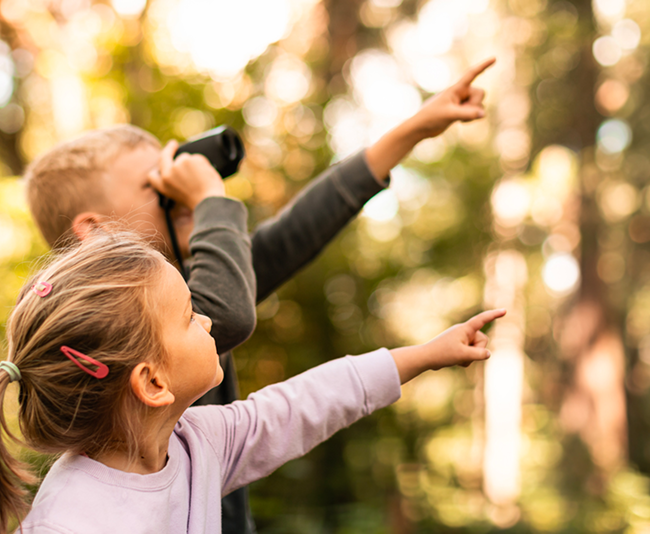 Daily Energy, Mood Stability & 
Overall Vitality