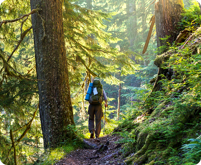 <p>Boost Natural Energy<br/> & Mood</p>