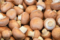 Mushroom Sourced