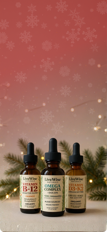 40% OFF on our Holiday Specials