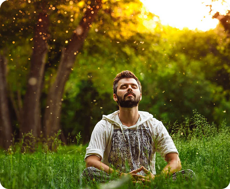 Mood, Cognitive &
Hormonal Balance