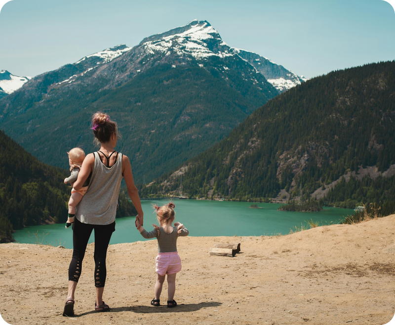 Brain & Nervous System
Development